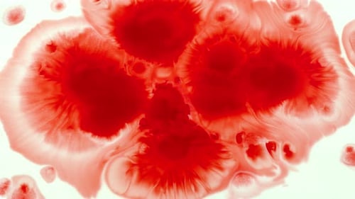 Red Ink Bloom Spreading on White Background