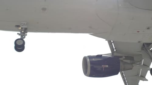 Flugzeug fliegt über Nahaufnahme
