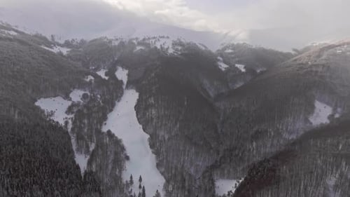 Aerial View Flying Over Forests in the Mountains in Wintertime