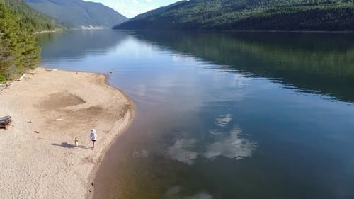 Woman with her pet dog walking near river coast on a sunny day 4k