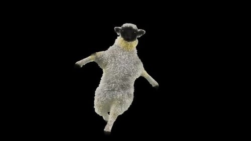 Cute Animated Black Faced Sheep Dancing Loop
