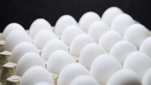 Fresh White Eggs in Carton Close Up