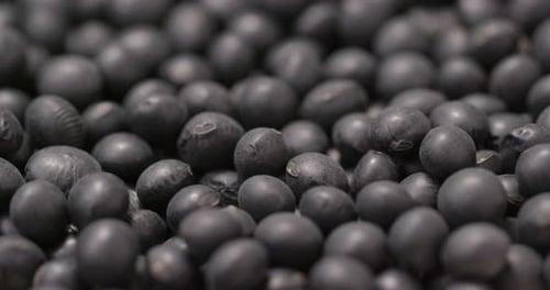 Close Up View of a Pile of Black Beans