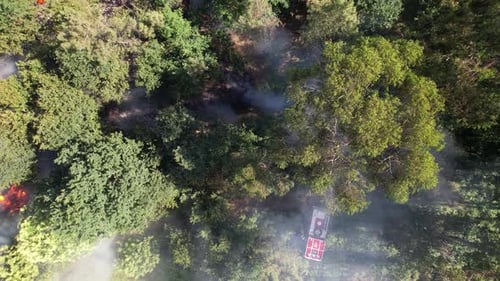 Protection of Environment. Forest Fire