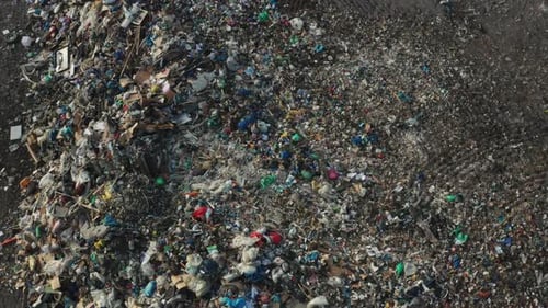 Birds Circle Above Urban Garbage Dump with Piles of Waste