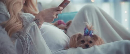 Woman Relaxing with Pet Dog Using Phone