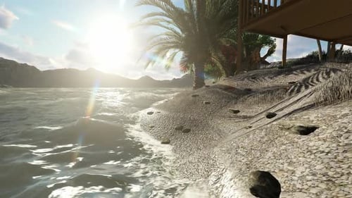 Tropical beach with palm trees