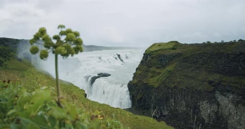 Powerful Waterfall Flowing Through a Green Canyon