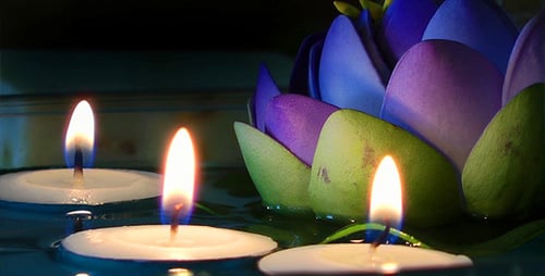 Candles and Waterlily