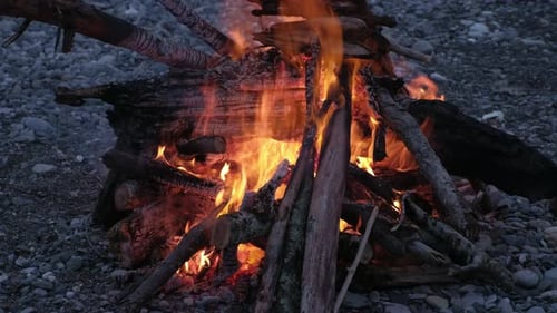 Hogueras quemando árboles por la noche. Hoguera que arde intensamente, calor, luz, campamento, gran hoguera, cerca