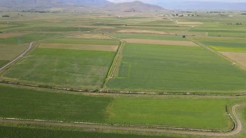 aerial view green fields nature