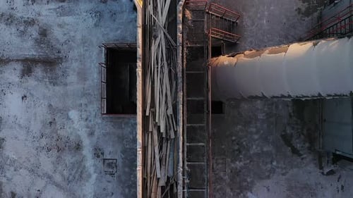 Holz bewegt sich auf einem Förderband in einem Holzbearbeitungsunternehmen