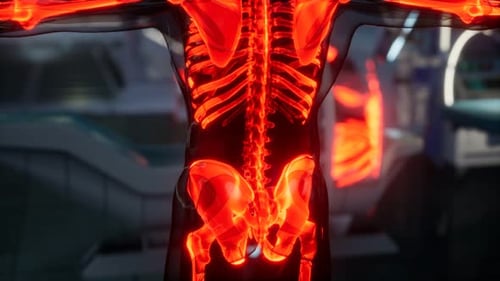 Animated Glowing Human Skeleton Anatomy in Futuristic Medical Lab