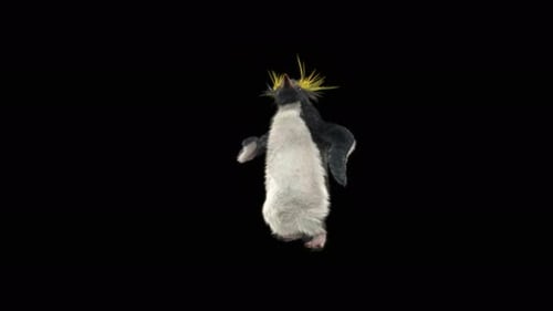 Pinguin tanzen 4K