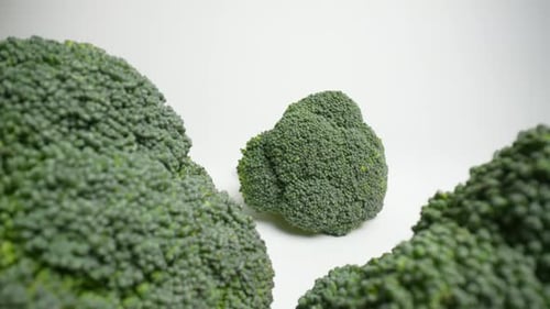 Fresh Green Broccoli 42
