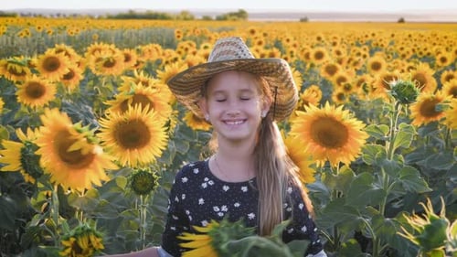A Happy Little Girl in the Hat Is Smiling at the Field of Sunflowers at Sunset Time.