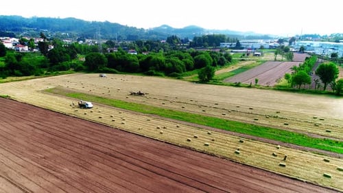 Aerial View of Farm Workers Harvesting Hay