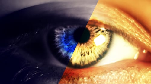 Dramatic Close-Up of a Vivid Eye