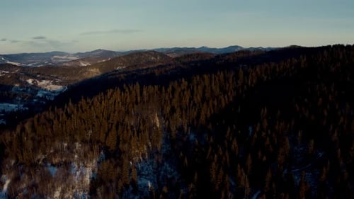 Aerial Winter Forest at Sunrise Frosty Natural Environment