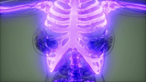 3D Render of Glowing Human Skeleton and Vascular System