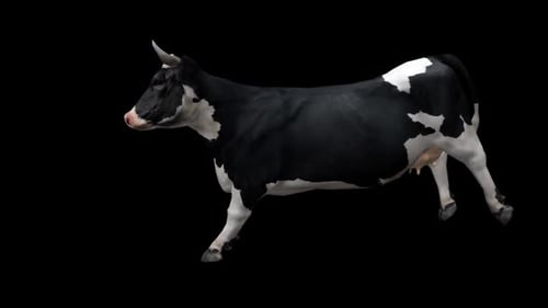 Realistic 3D Cow Walking Animation