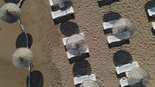 Empty Beach Umbrellas