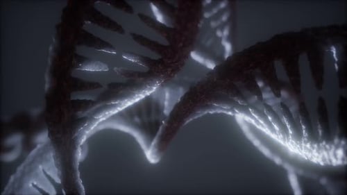Loop Double Helical Structure of Dna Strand Close-up Animation