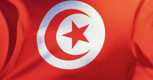 Seamless Loop of Tunisia Flag Waving