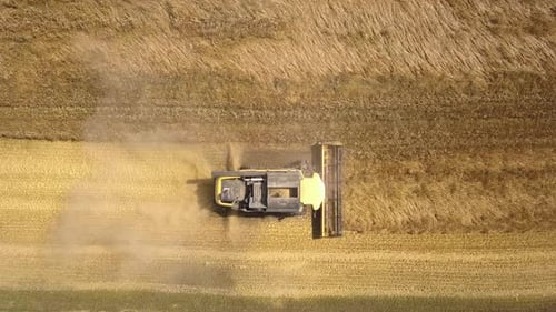 Aerial View of Combine Harvester Harvesting Large Ripe Wheat Field