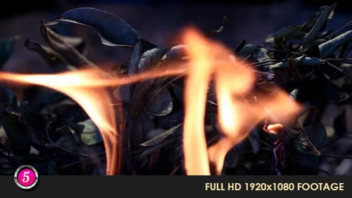 Fire Burns Inflames 16