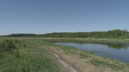 Drone shot of River and forest. Sunny summer day 01