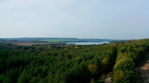 Grüne Natur auf dem Land. Schöne Laubbäume in Feldnähe auf blauem Flusshintergrund