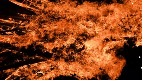Vertikales Video Bonfire brennt nachts auf einem schwarzen Hintergrund auf der Natur