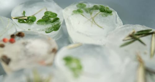 Close Up of Ice Cubes with Herbs and Spices