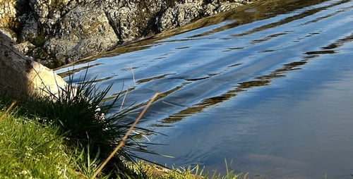 Water Flowing Gently over Dam in Nature
