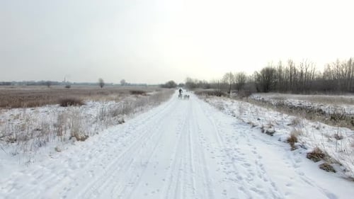 Training sled dogs on rural road in winter, aerial view
