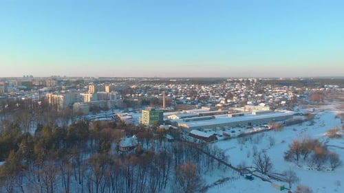 Winter Snow Forest Cityscape