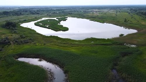 Lake among green fields. A pond surrounded by green meadows