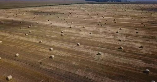 Rural Landscape with Golden Straw Bales