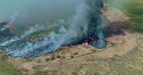 Aerial View Ecological Disaster Burning Trees in the Field