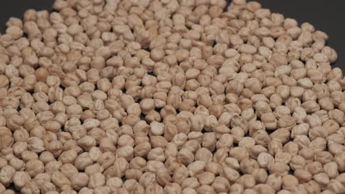 Pile of Dried Chickpeas Rotating in Close Up