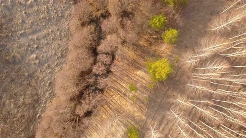 Early Spring River From Above
