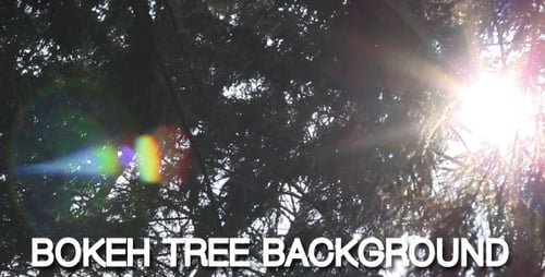 Bokeh-Baum-Hintergrund 11