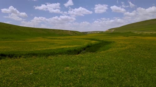 Alpine Meadows