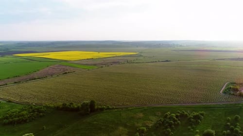 Vue aérienne des terres agricoles en Europe avec des vergers et des champs.
