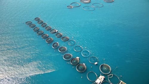 Aerial drone view of fish farms in Ionian Sea, Zakynthos, Greece