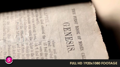 Old Holy Bible 7