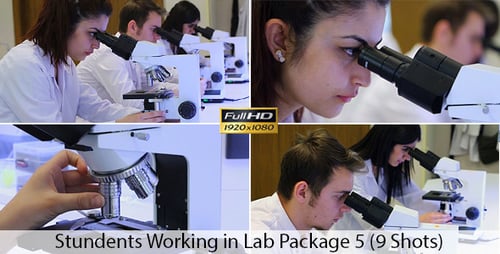 Scientists Working Diligently with Microscopes in a Laboratory