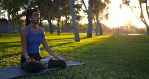 Beautiful young woman in lotus sitting position on her yoga mat meditating in the park at sunrise.