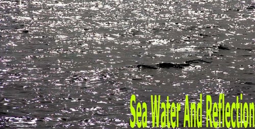 Sea Water And Reflection